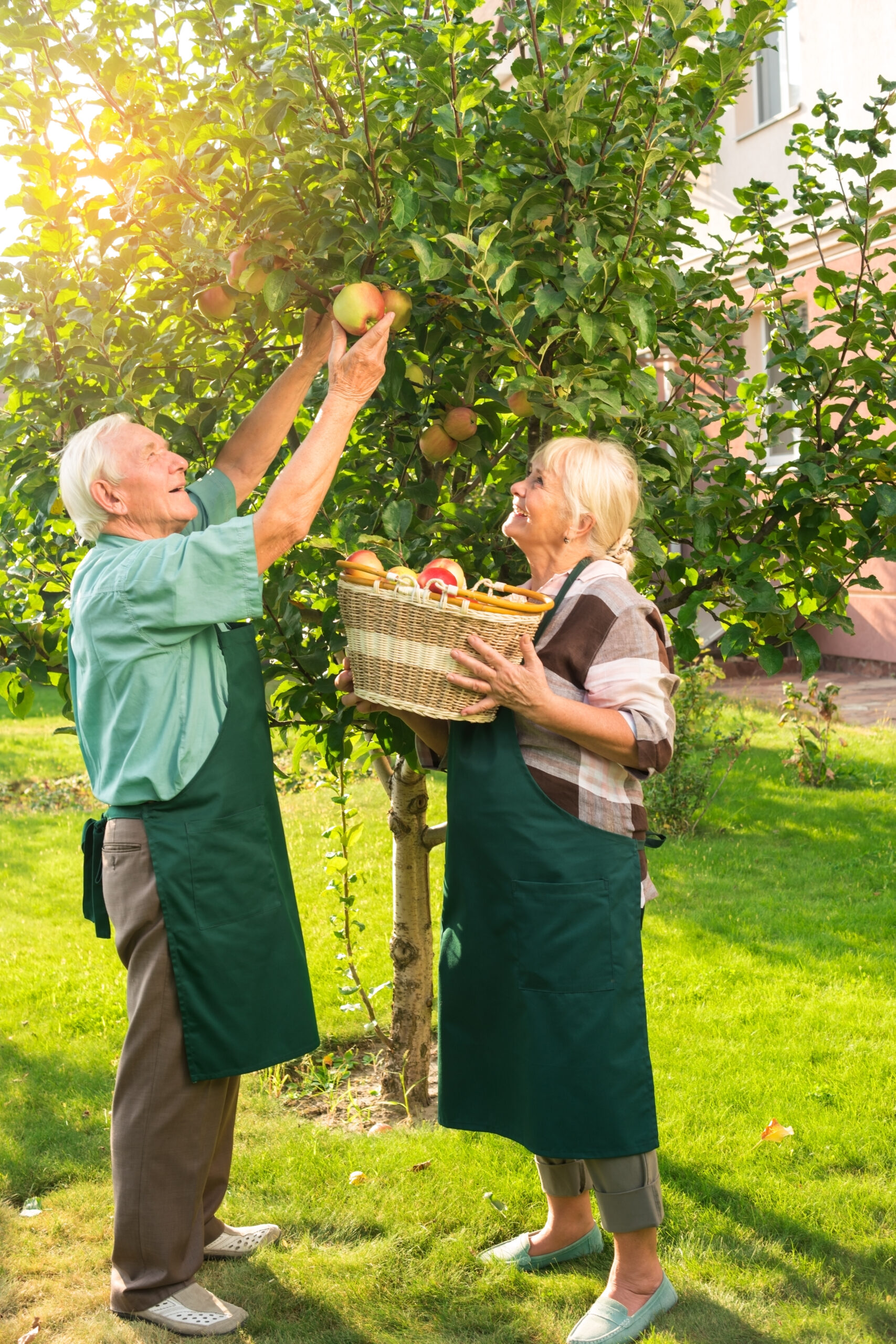 Senioren ernten Äpfel im Garten